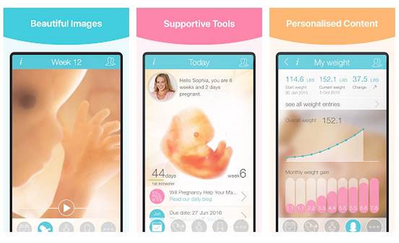 27 Aplikasi Ibu Hamil Terbaik Untuk Ios Dan Android Dieditcom