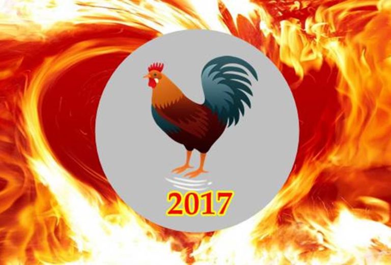 tahun ayam api 2017