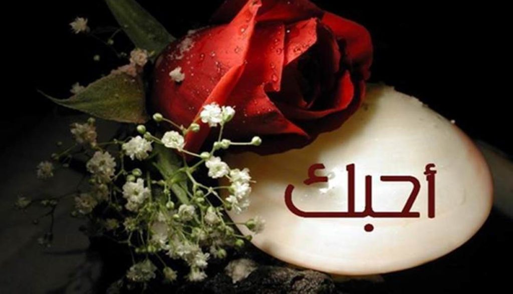 55 Kata Cinta Bahasa Arab Artinya Sungguh Menyentuh Qalbu Diedit Com