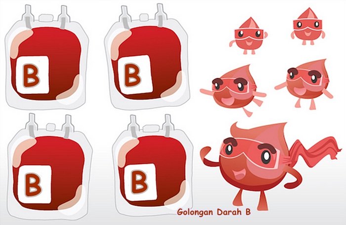 diet golongan darah b