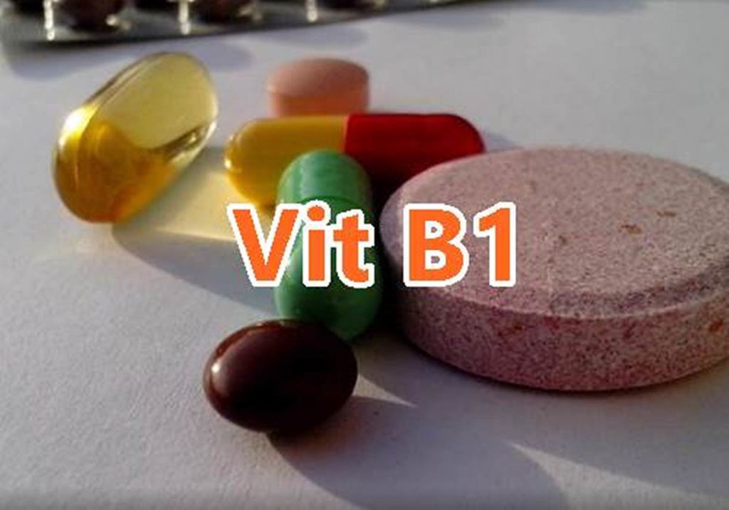 fungsi vitamin b1