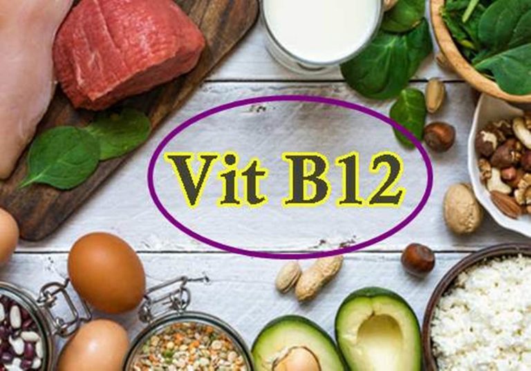 fungsi vitamin b12