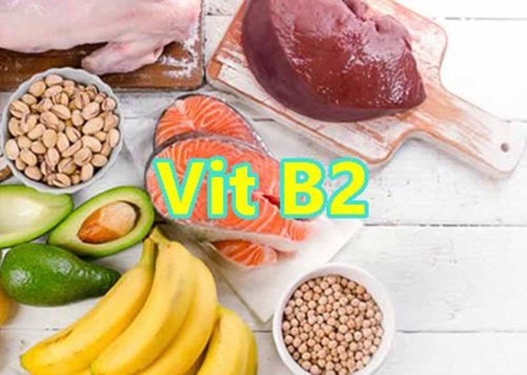 fungsi vitamin b3