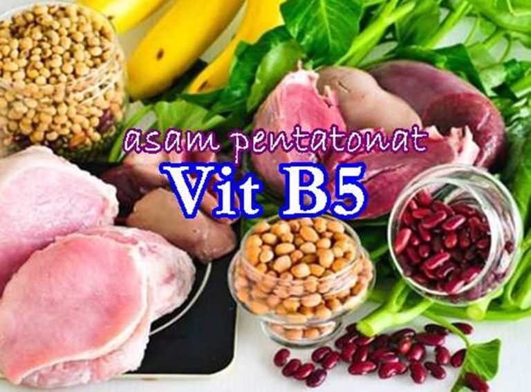 fungsi vitamin b5