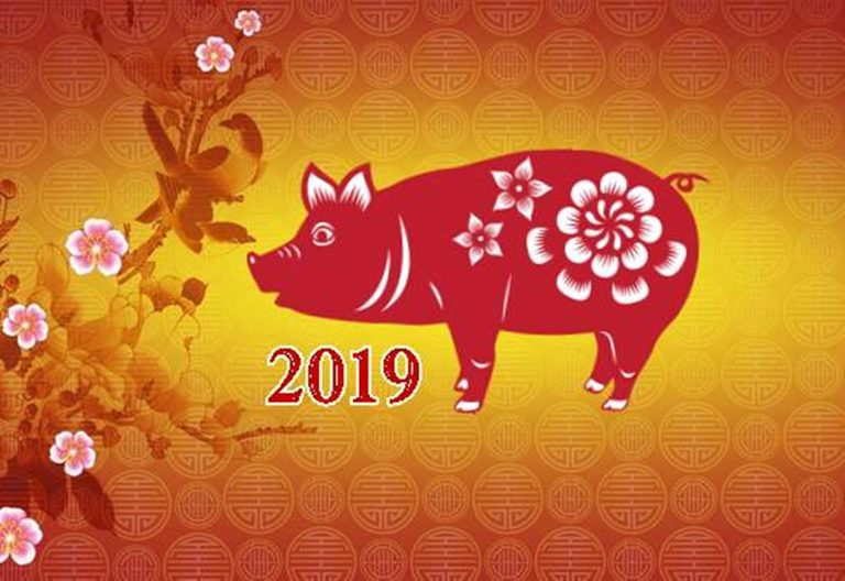 ramalan shio 2019 tahun babi