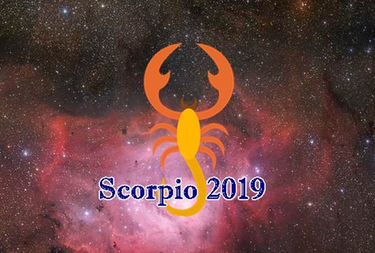 Zodiak Scorpio 2019 Horoskop Cinta Uang Karir Kesehatan