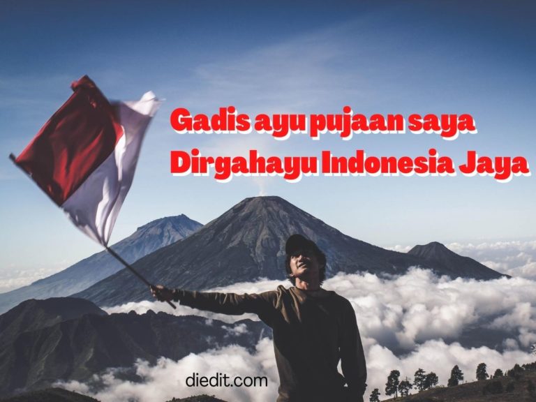 hut republik indonesia