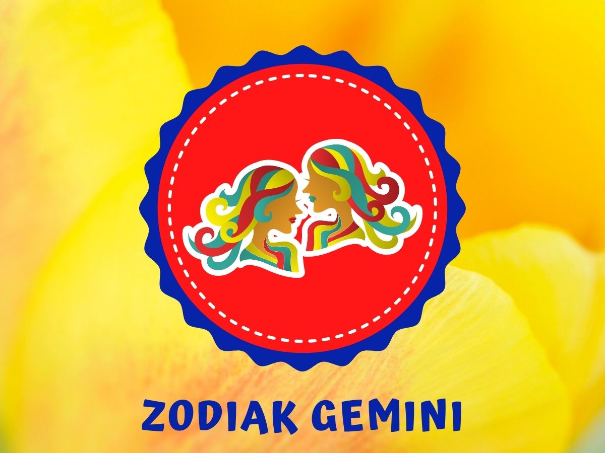 Ramalan Zodiak Gemini 2021: Cinta, Uang, Karir, Kesehatan - diedit.com