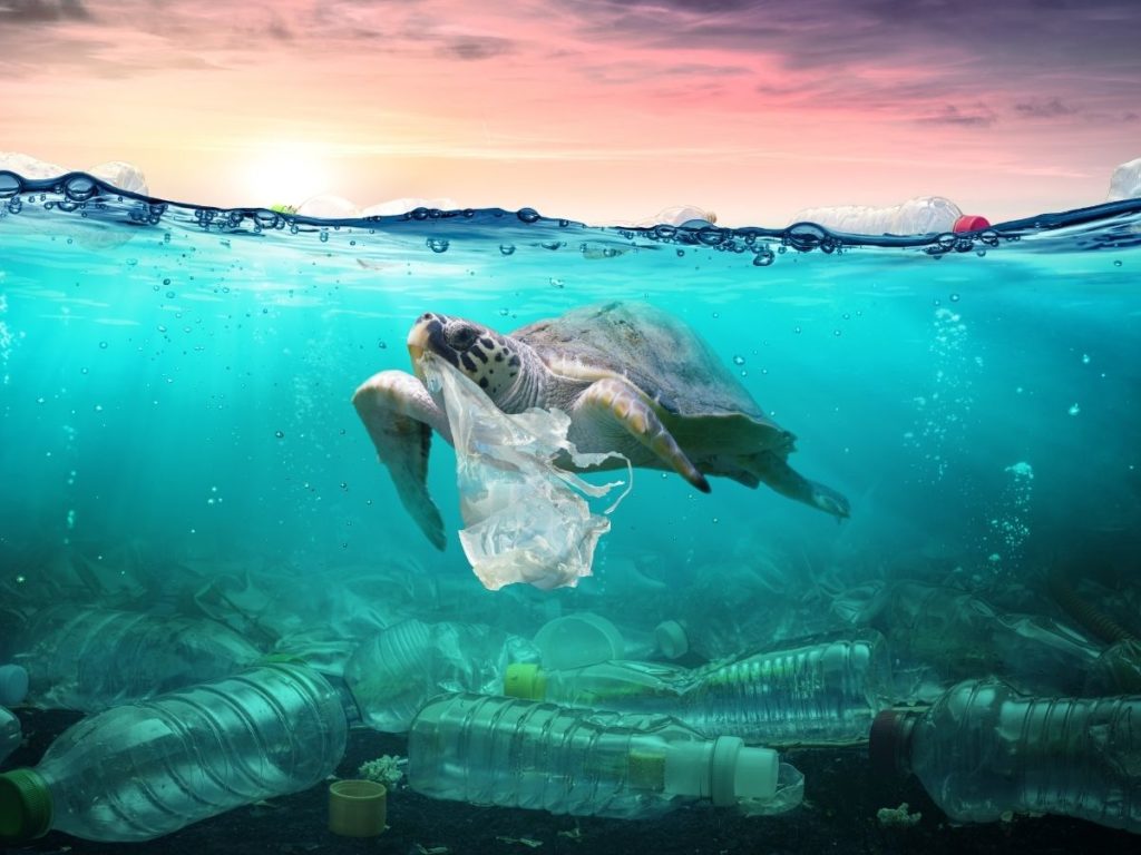 Aliran Sampah Plastik ke Laut Bisa 3 Kali Lipat pada 2040 - diedit.com