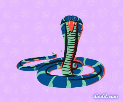 arti mimpi ular kobra