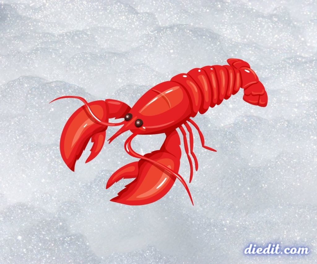 arti mimpi lobster