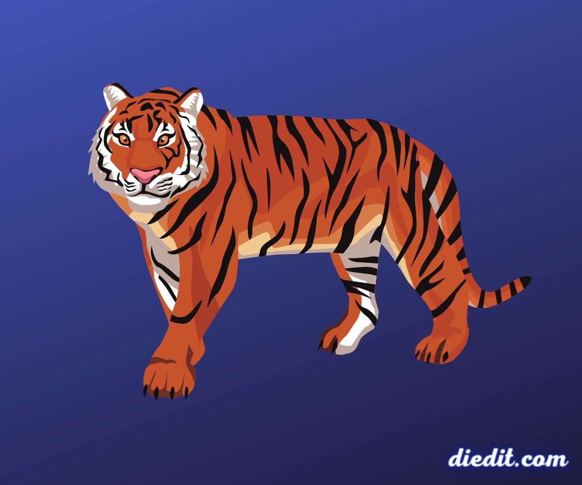 6+ Art Mimpi Nangkap Harimau Dalam Arti Togel