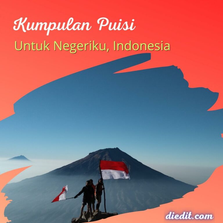 puisi untuk negeriku indonesia