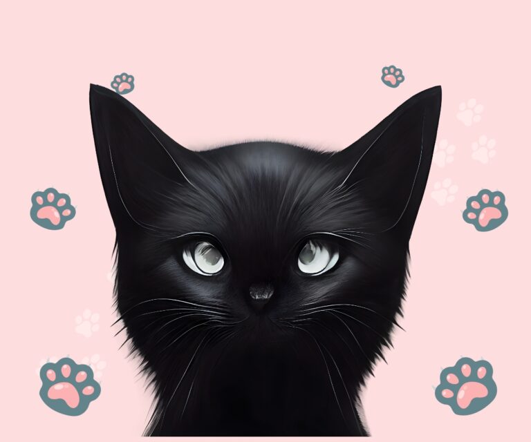 nama kucing betina hitam